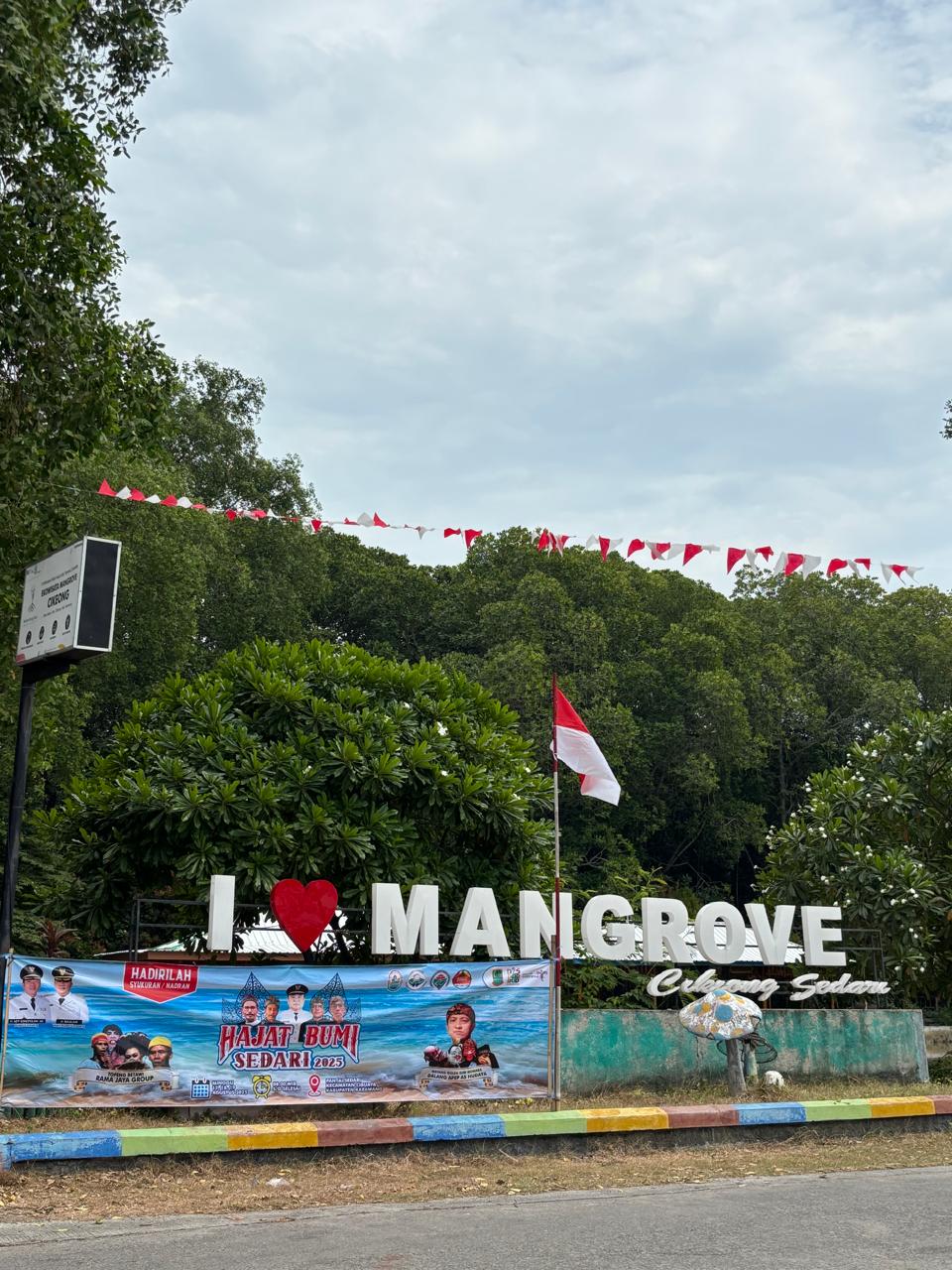 Hutan Mangrove Cikiong